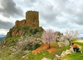Algoso's Castle