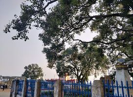 राजा विरेन्द्र काे शालिक