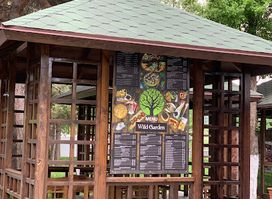 Wild Garden Café