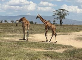 Lake Nakuru Lanet Gate