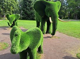 Pärnu green elephants