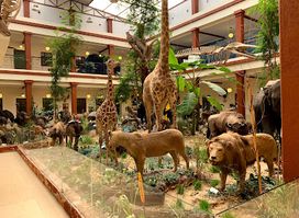Bait Al Othman Museum