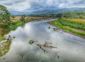 Parque Nacional Carara