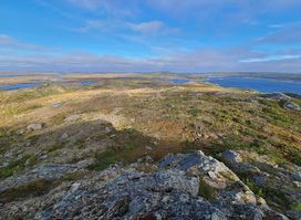 Avalon Wilderness Reserve