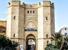 Medina Mediteranea Gate