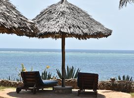 Moonshine Beach Bar