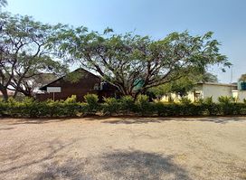 Orange Grove