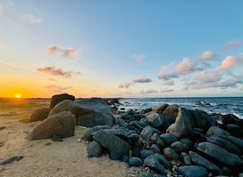 Duinen van Westpunt