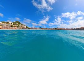 Little Bay