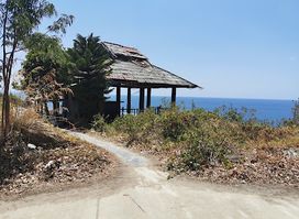 Viewpoint