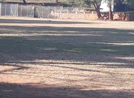 Fleming Rugby Field