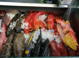 Fishtech Seychelles | Fish & Seafood Exports