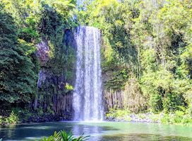 Millaa Millaa Falls