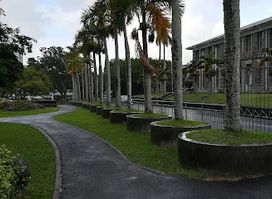 University of Mauritius
