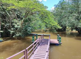 El Puente Cuyabeno