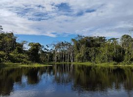 Amazon Colombia Travels
