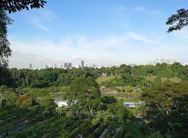 Southern Ridges