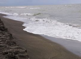 Magnetic sands beach