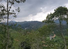 Constanza Hills