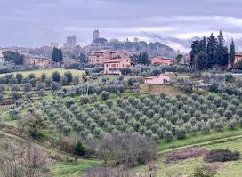 Podere La Marronaia - Biodynamic Winery & Farm
