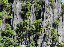 Puerto Princesa Subterranean River National Park