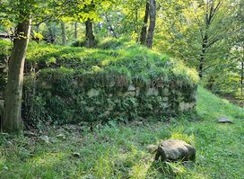 Ruins of old tower on Krancelj