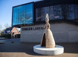 Singer Laren