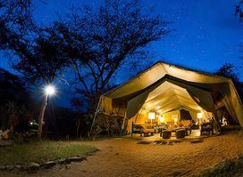 Porini Mara Camp