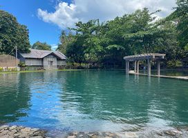 Soda Water Pool