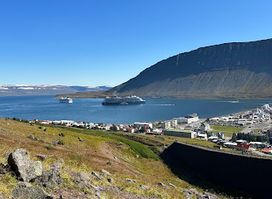 Westfjords Safari