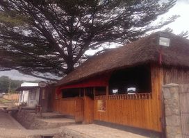 Peace and Love Bar