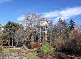 Alexandru Borza Botanical Garden