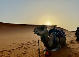 Merzouga