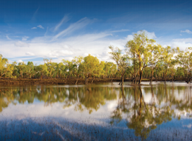 Port Douglas Tropical Trips