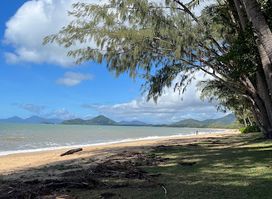 Underground Palm Cove