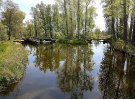 Barzlin