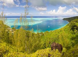 Avea Bay - Avea Beach - Huahine
