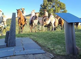 Amajuba Fees terrein /Majuba Memorial Campsite