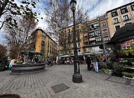 Fuente de la Plaza de la Cebada