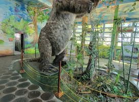 Guyana National Museum