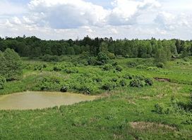 Royal Oak Trail