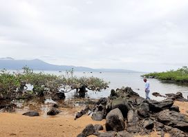 Pantai Tatiala