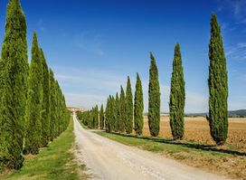 La Toscana Ristorante