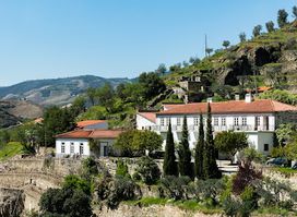Quinta do Panascal - Fonseca Porto