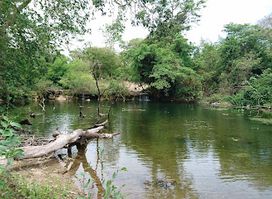 Arroyo TAGATIYA