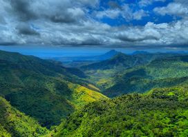 Black River Gorge