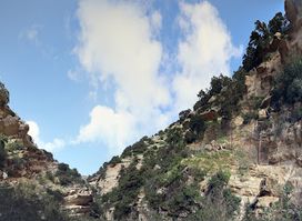 Avakas Gorge Nature Trail