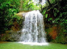 Kay Services Fiji