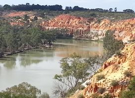 Murray River National Park