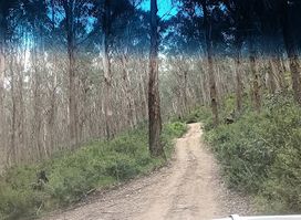 High Country Scenic Tours